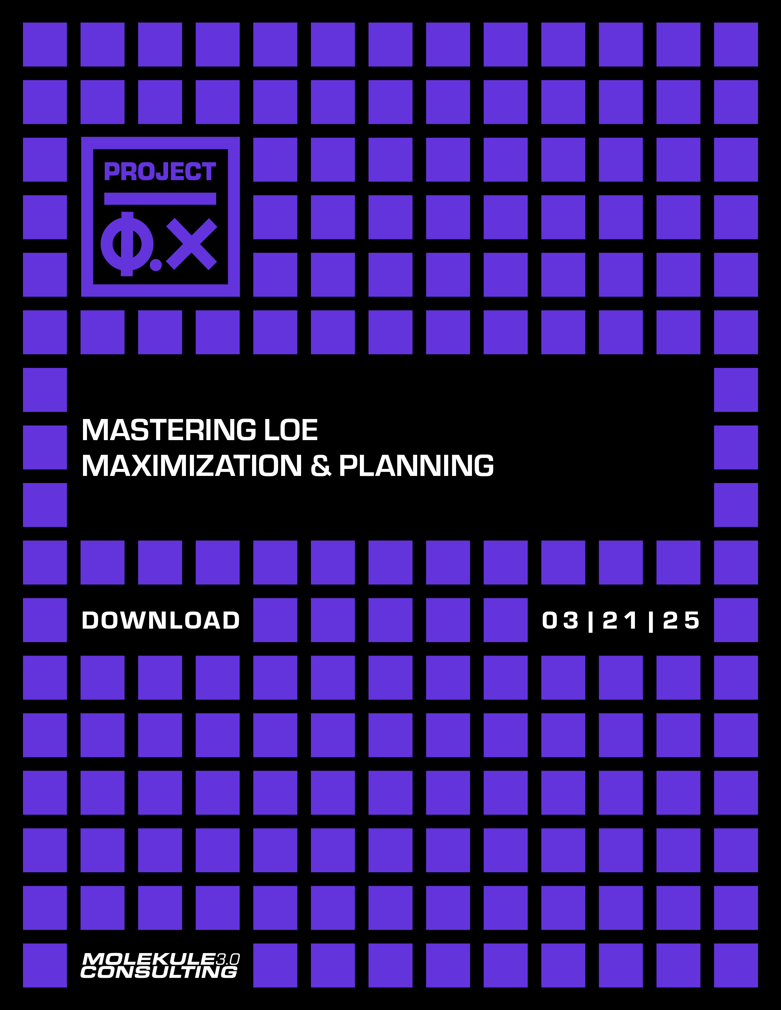 2025.03.27 Φ.X_Vol01 Mastering LOE Maximization & Planning